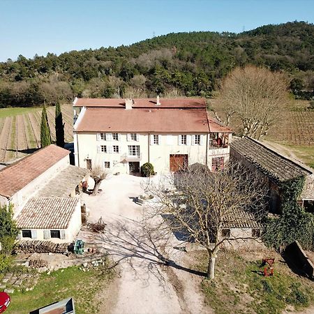 Gite Vert D'Olive Au Milieu Des Vignes. Chateau Les Apies Les Arcs-sur-Argens Exterior photo