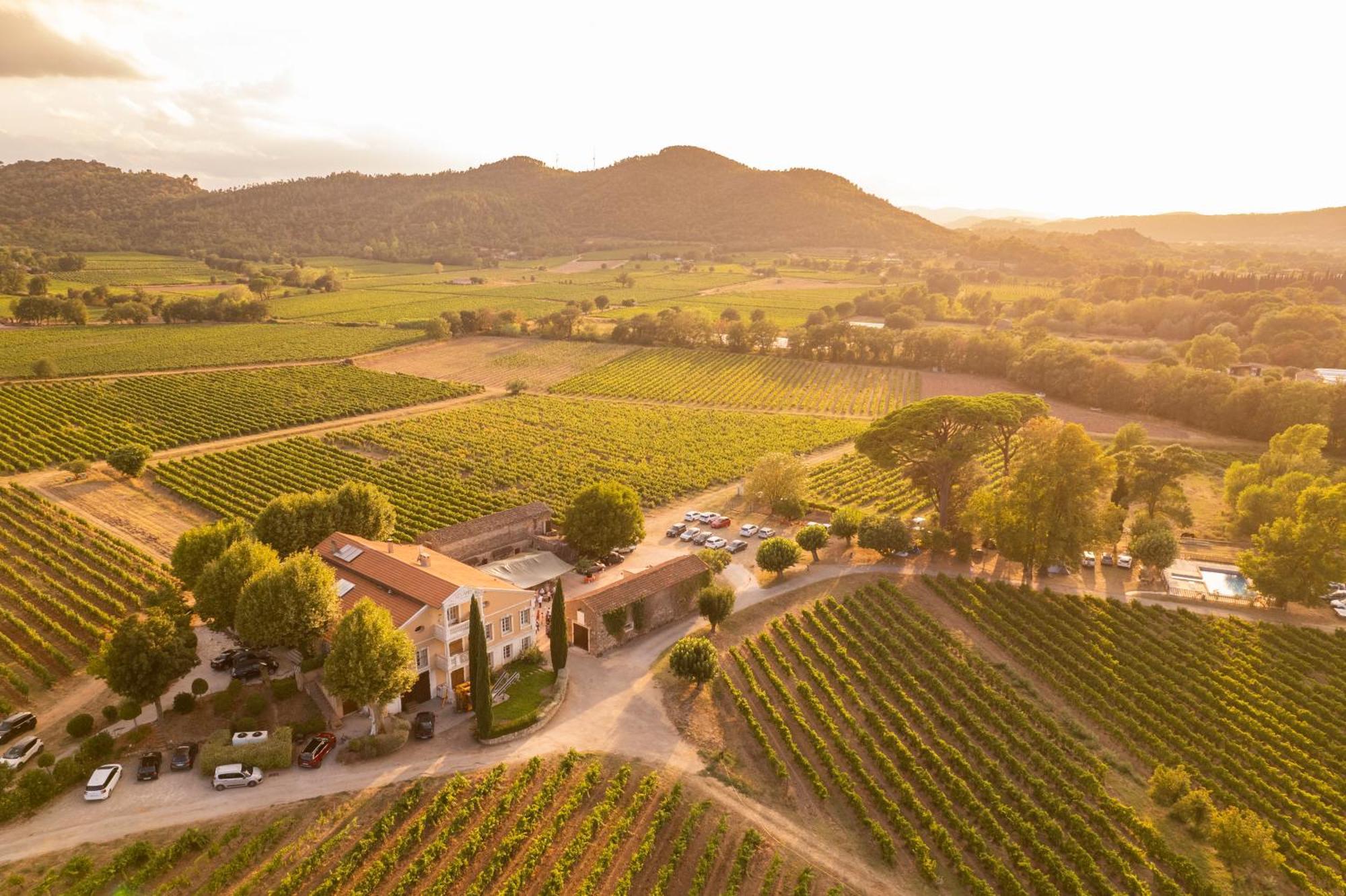 Gite Vert D'Olive Au Milieu Des Vignes. Chateau Les Apies Les Arcs-sur-Argens Exterior photo