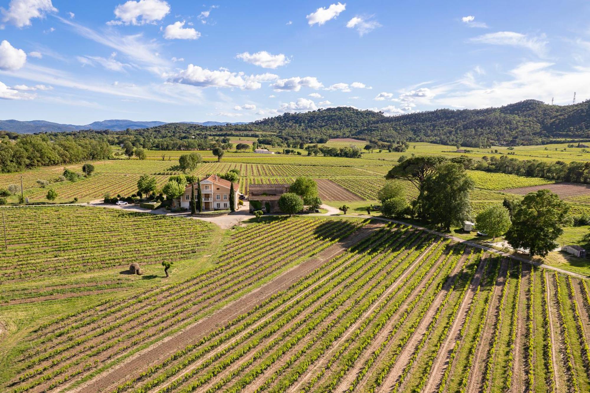 Gite Vert D'Olive Au Milieu Des Vignes. Chateau Les Apies Les Arcs-sur-Argens Exterior photo