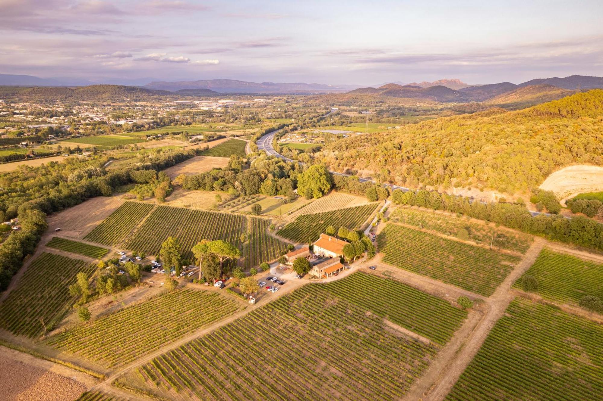 Gite Vert D'Olive Au Milieu Des Vignes. Chateau Les Apies Les Arcs-sur-Argens Exterior photo